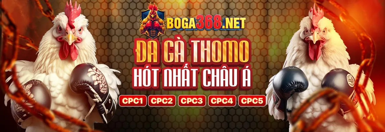 Banner khuyến mãi thể thao 990k