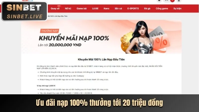 Hoàn trả hàng ngày/tuần 990k